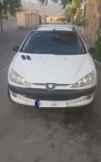 ۲۰۶ دوگانه کارخانه خانگی