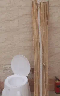 فروش فرنگی نو