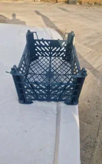 نیروی کار جوان