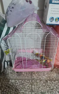 قفسه پرنده