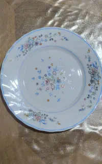 بشقاب پیش دستی و غذاخوری