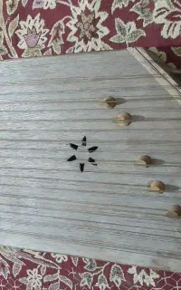 سنتور قدیمی