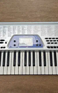 ارگ کاسیو Casio CTK-481