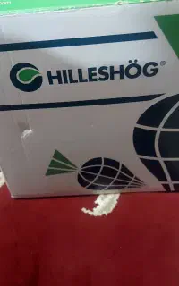 بذر چغندر راستا