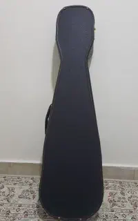 هاردکیس تار و سه تار شمس