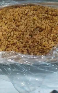 فروش کشمش گلدن طلایی