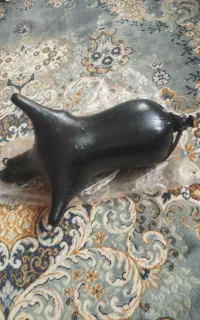 هیزه