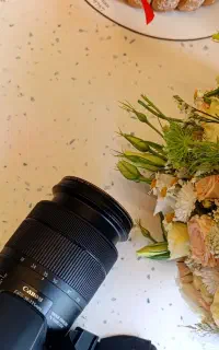 عکاسی حرفه ای در فضای باز