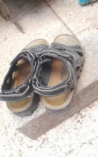 دنپایی کفشی