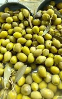 نیرو خانم برای تولیدی زیتون پرورده و ترشیجات