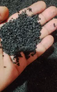 فروش بذر دستگیری مینروا با ضمانت
