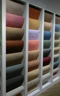 نمایندگی  (  پالاز  موکت  )
