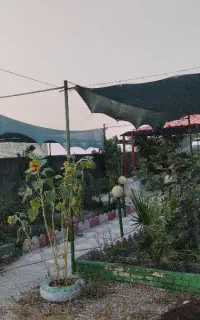 نصب چادر برای باغها