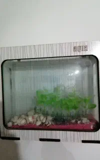 آکواریوم دیواری