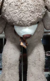 خشکشویی اپادانا