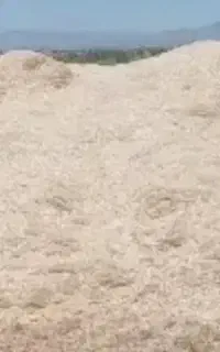 کاه