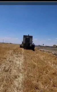 کاه گندم  شراکتی