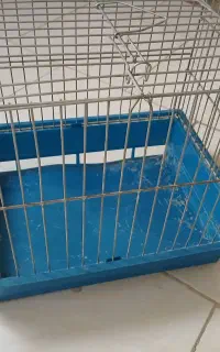 قفس حیوانات