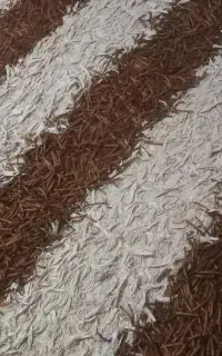 دو عدد فرش شش متری