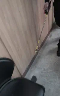 سمپاشی وضد عفونی نامبروان رشت