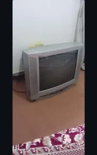 تلوزیون