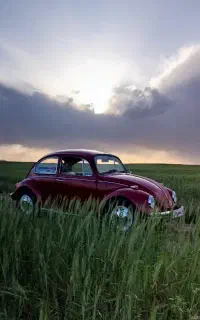 اجاره خودرو (رنت فولکس قرمز)