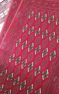 قارچین جرگلان