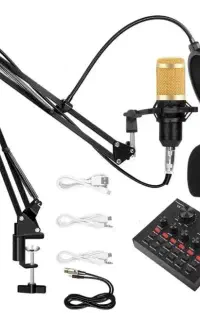 میکرفون BM800 و کارت صدای v8