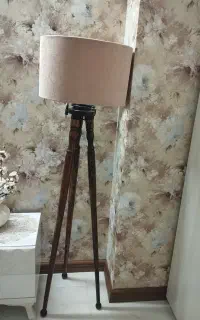 آباژور کنار سالنی