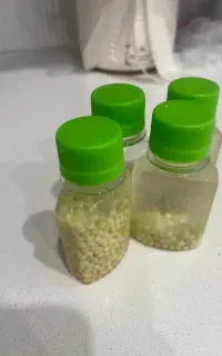 فروش حلزون و خاویار حلزون