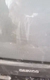 تلوزیون رنگی دوو