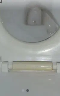 سرویس بهداشتی