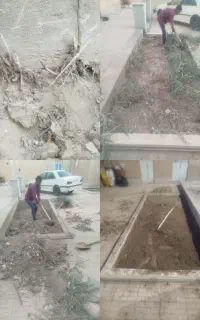 احیا کردن باغچه و هرس درخت