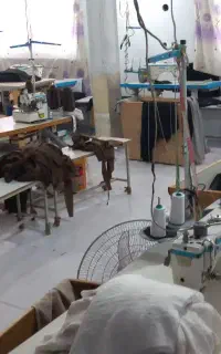 وسط کار