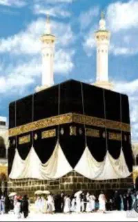 فیش حج