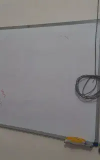 وایت برد