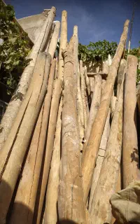تیر سقفی صاف درهر اندازه