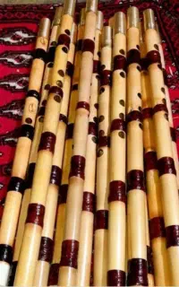 نی ، نین گمشده