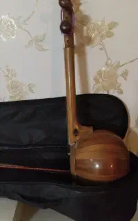 کمانچه حرفه ای