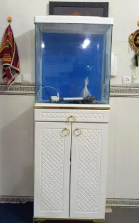 آکواریوم شرکتی آکوا