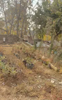 کارگری،جمع آوری نخاله،نظافت خانه