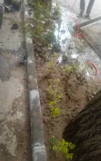 گل کار حیاط آپارتمان