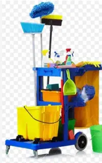 نیازمند نظافت کاروتمیزکارخانم هستم