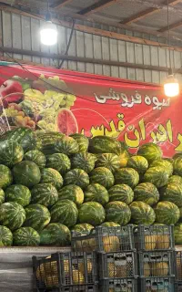 جهت همکاری در میوه وتره بار