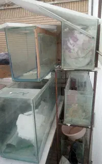 آکواریوم دست و دوم