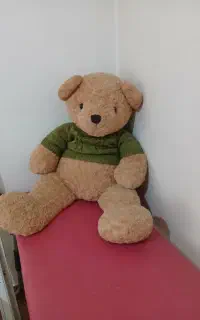عروسک خرس تدی