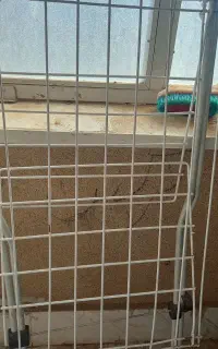 رخت آویز لباس