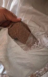 پارچه تدی  MAX MARA