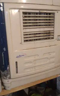 کلرابی کوچک