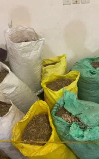 پوشال چوب - خاک اره